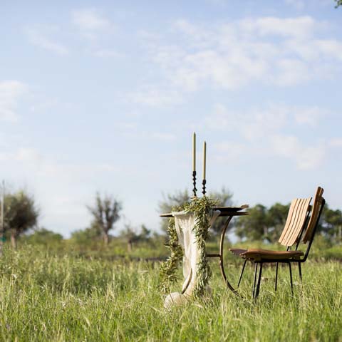 Texas Hill Country Olive Co.